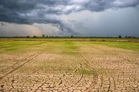 148465332-nubes-de-tormenta-que-vierten-lluvia-sobre-el-campo-de-arroz-seco-que-carece-de-distribución-de-agua