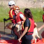 brigada-acuatica-veterinaria