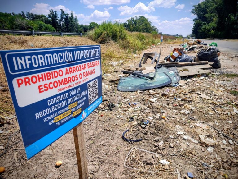 WhatsApp Image 2026-02-10 at 12.24.20 PM